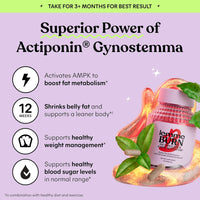 Synergy® | Metabolism Capsules - Synergy®