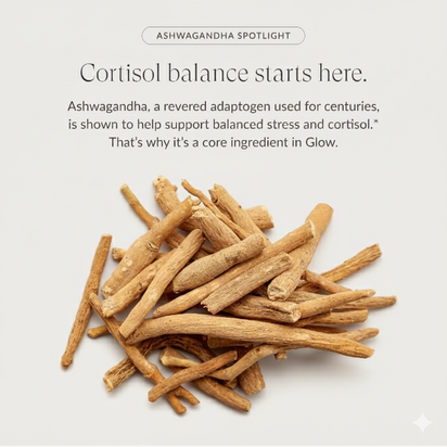 Synergy® | Beam Glow Powder - Synergy®