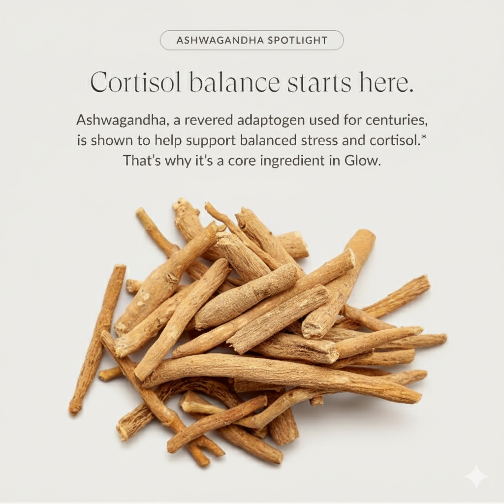 Synergy® | Beam Glow Powder - Synergy®