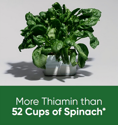 Synergy® | Super-Green Vegan Gummies - Synergy®