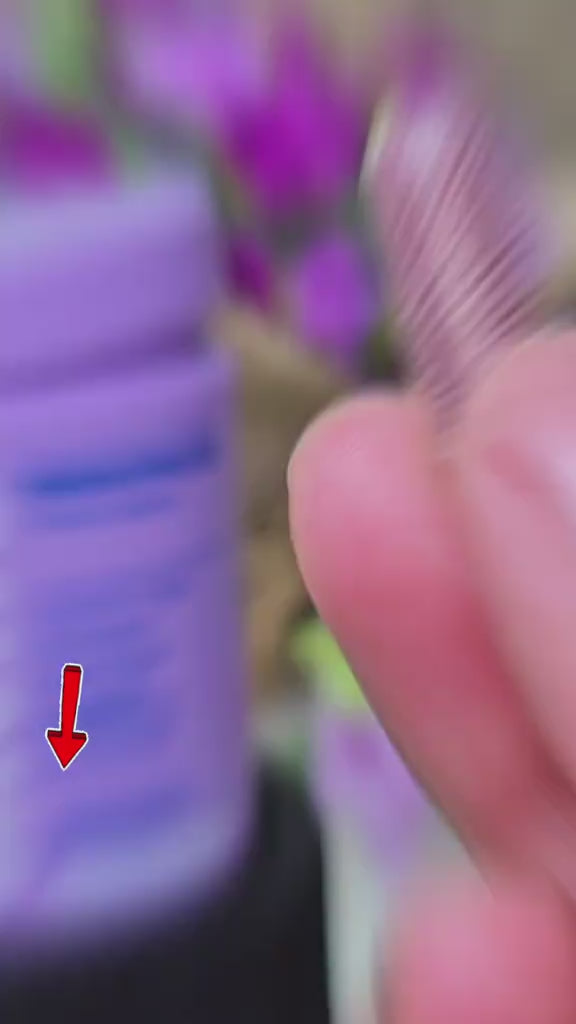 Synergy® | Menopause Vitamins video